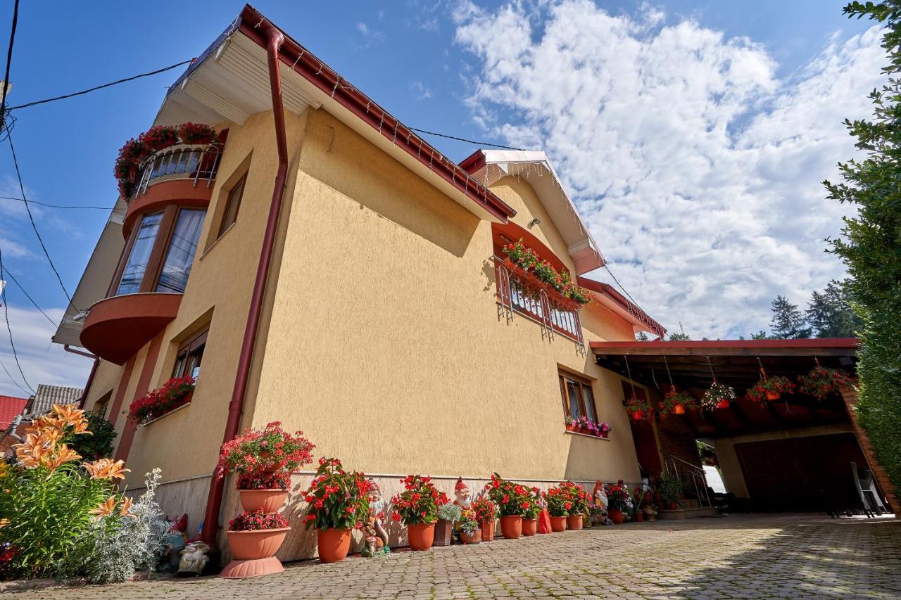 Casa Cu Flori Moisei酒店 外观 照片