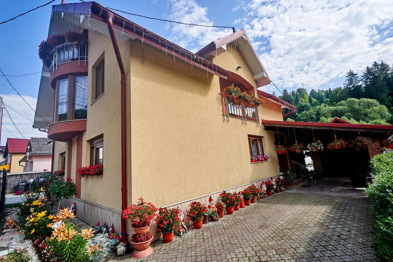 Casa Cu Flori Moisei酒店 外观 照片