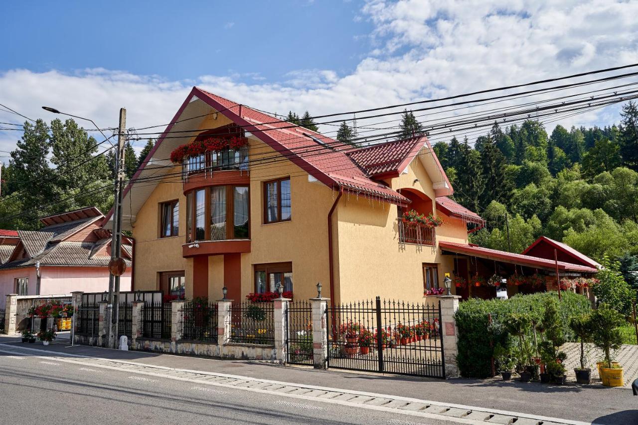 Casa Cu Flori Moisei酒店 外观 照片